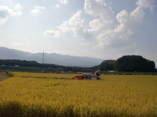e734def9.jpg