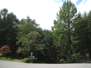 f2c0413f.jpg