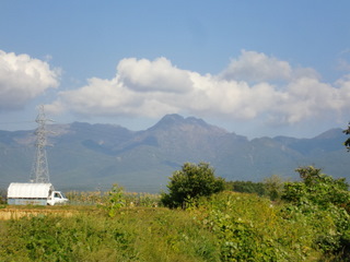 f481c406.jpg