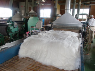 f4e5b919.jpg