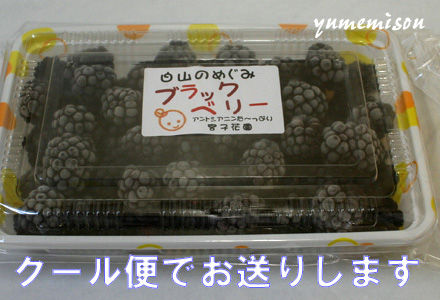 冷凍のブラックベリーの実