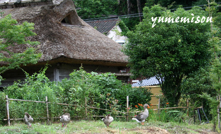 湯布院・下の湯