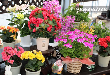 花売り場の様子