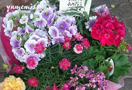 花かごセット 大