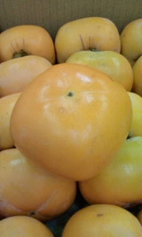 23eb79c6.jpg