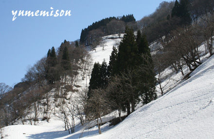 まだまだ山には雪がたくさんありました。