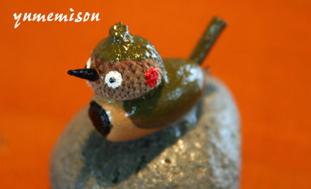 kinomi1