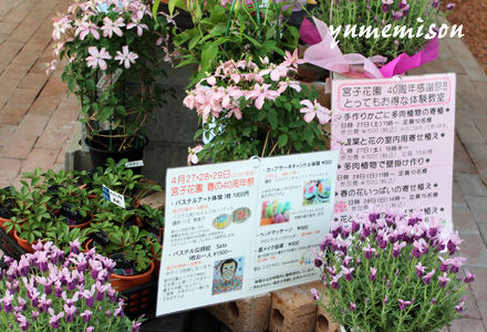 宮子花園の春の感謝祭