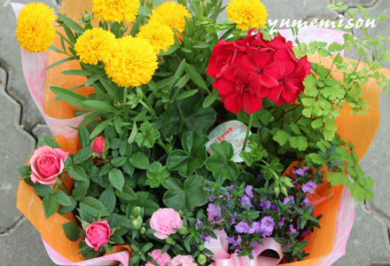 花かごセット 中