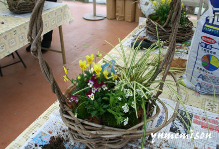 つるで編んだかごの寄せ植え