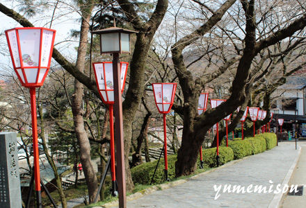 兼六園も花見の準備