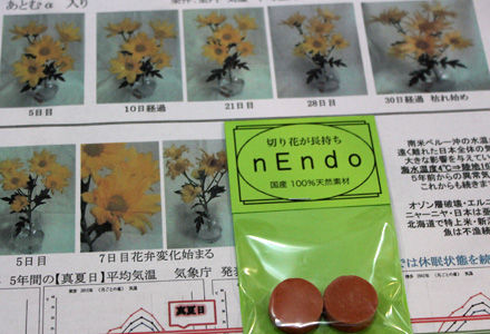 nEndoという石
