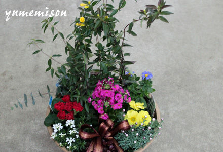 季節の花の寄せ植え