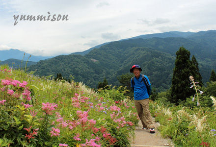 白山高山植物園