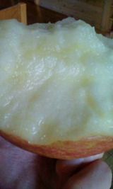 f7dd0c89.jpg