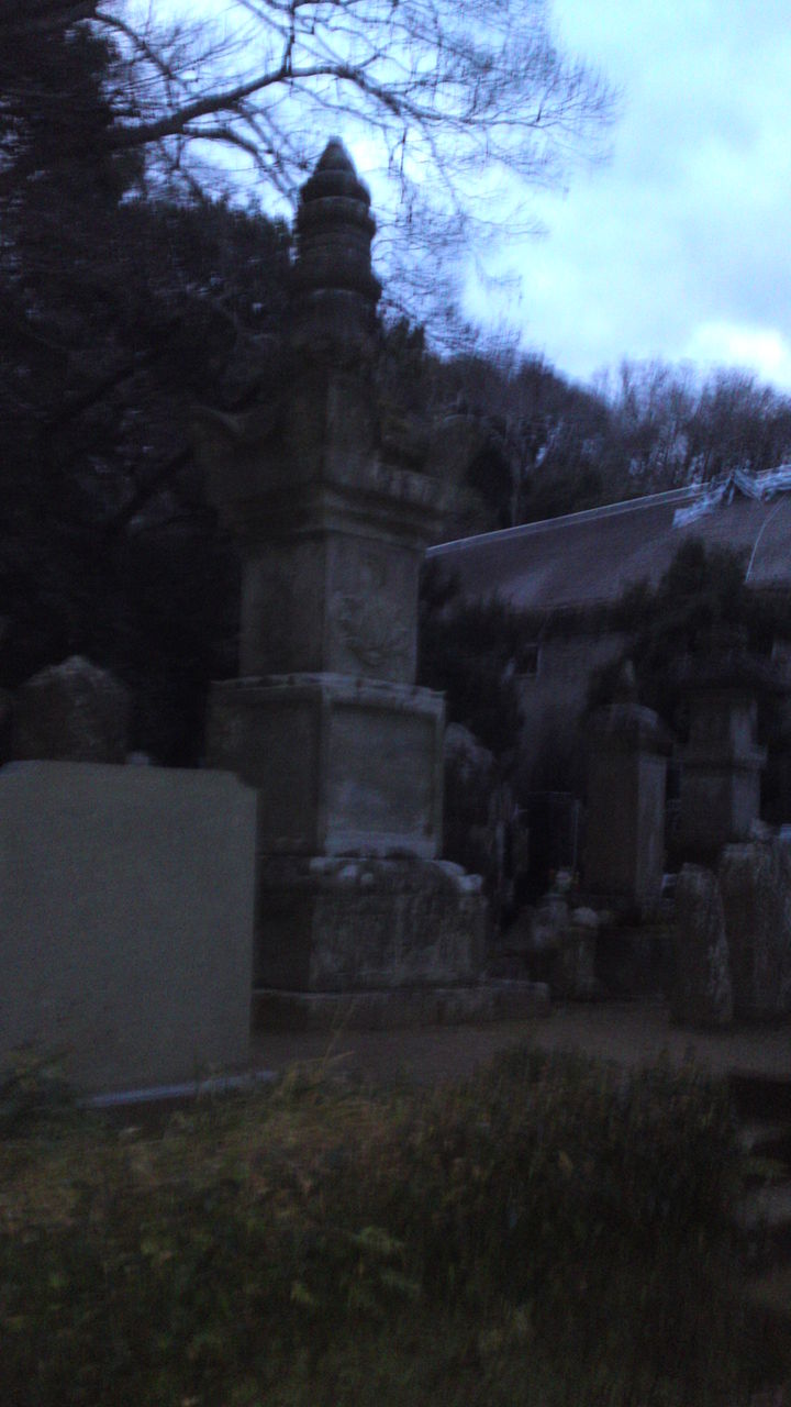 寺田本家裏