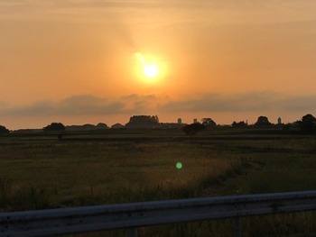 IMG_6216 copy
