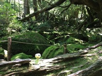 th_IMG_4286