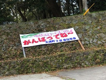 IMG_6116 copy