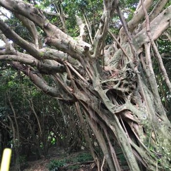 th_IMG_4365
