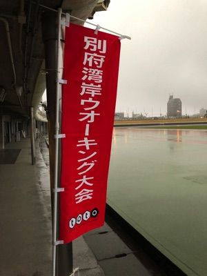 IMG_7323 copy