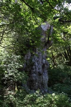 th_IMG_4943