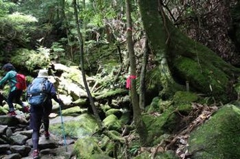 th_IMG_4837