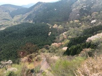 th_IMG_4107
