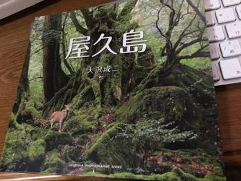 th_IMG_4421