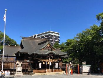IMG_6545 copy