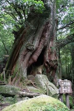 th_IMG_4840