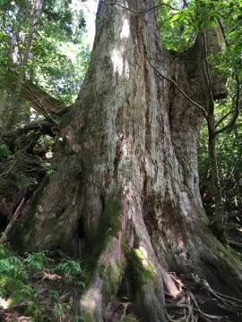 th_IMG_4320