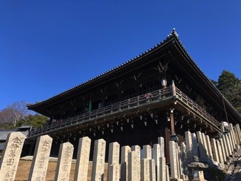 IMG_7044 copy
