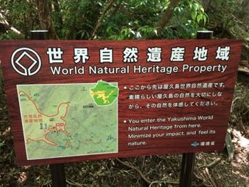 th_IMG_4327
