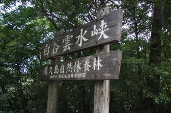 th_IMG_4821