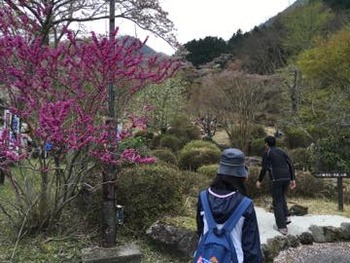 th_IMG_4104