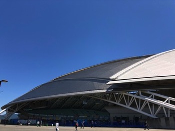 IMG_6181 copy