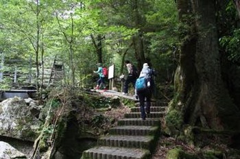 th_IMG_4830