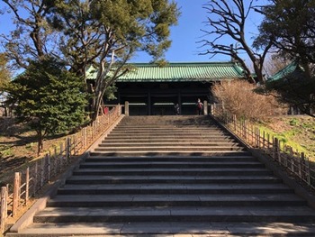 IMG_7270 copy