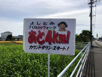 IMG_6218 copy