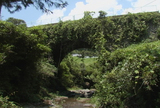 粕野橋01
