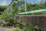 粕野橋05