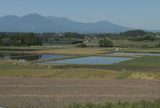大丸たんぼ