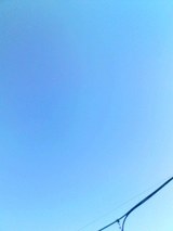 b16df063.jpg