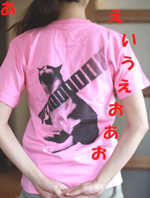 da 063