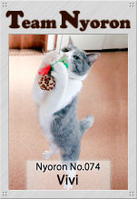 20110126121343ed3