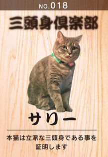 3_sally