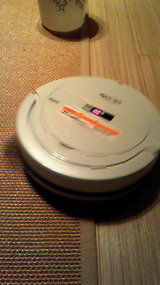 19927025.jpg
