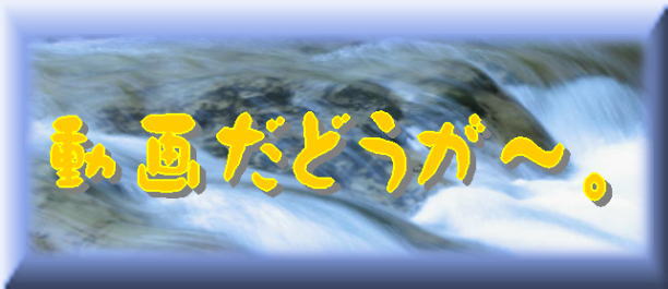 ư�衡�˼���������