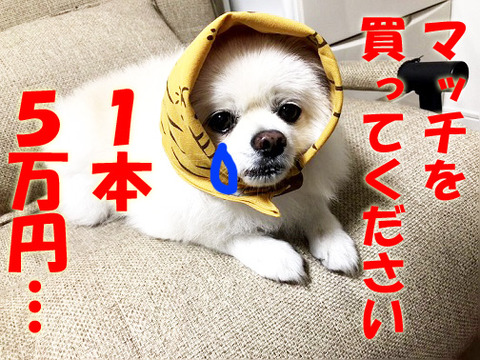 マッチ